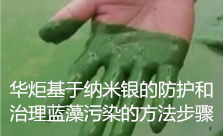 藻类